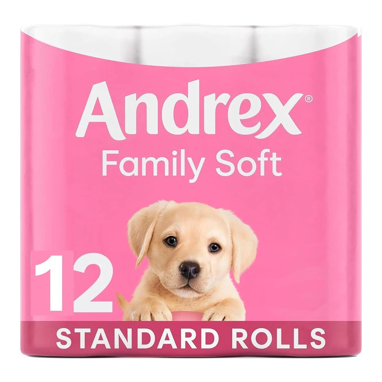 Andrex Family Soft Toilet Tissue 48 Rolls (4 x 12 Rolls) | 2 Ply Soft Toilet Paper | Family Value Pack | Fast UK Delivery