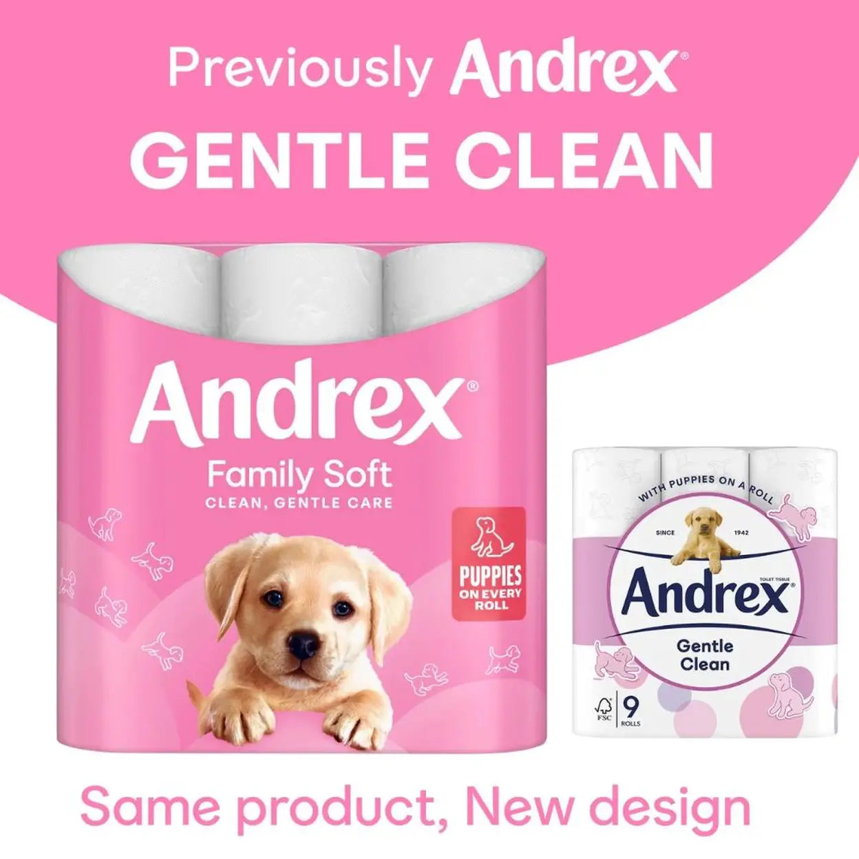 Andrex Family Soft Toilet Tissue 48 Rolls (4 x 12 Rolls) | 2 Ply Soft Toilet Paper | Family Value Pack | Fast UK Delivery